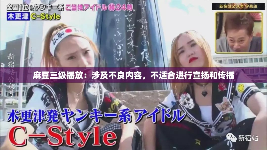 麻豆三级播放：涉及不良内容，不适合进行宣扬和传播