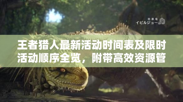 王者猎人最新活动时间表及限时活动顺序全览，附带高效资源管理策略