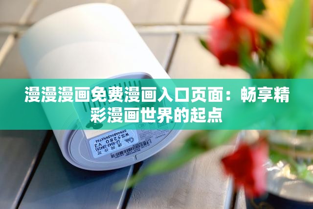 漫漫漫画免费漫画入口页面：畅享精彩漫画世界的起点