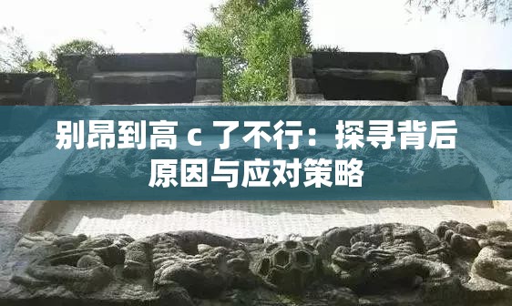 别昂到高 c 了不行：探寻背后原因与应对策略