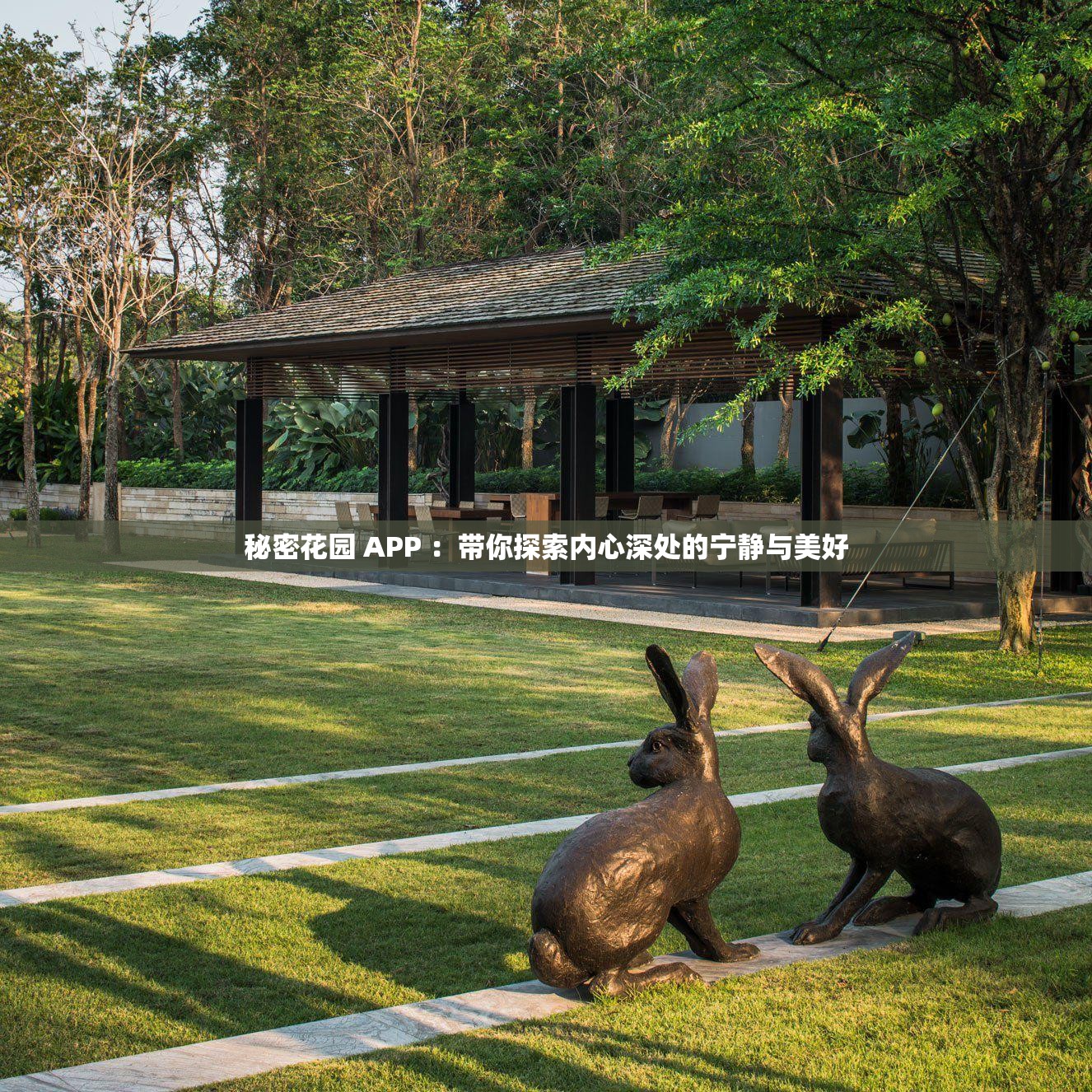 秘密花园 APP ：带你探索内心深处的宁静与美好