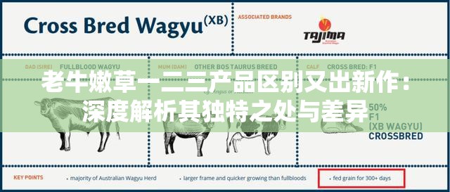 老牛嫩草一二三产品区别又出新作：深度解析其独特之处与差异