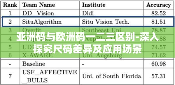 亚洲码与欧洲码一二三区别-深入探究尺码差异及应用场景