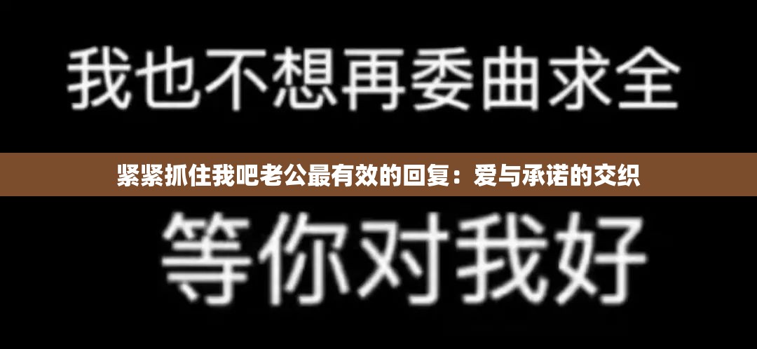 紧紧抓住我吧老公最有效的回复：爱与承诺的交织