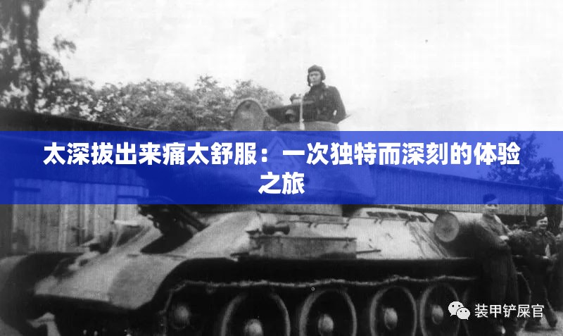 太深拔出来痛太舒服：一次独特而深刻的体验之旅