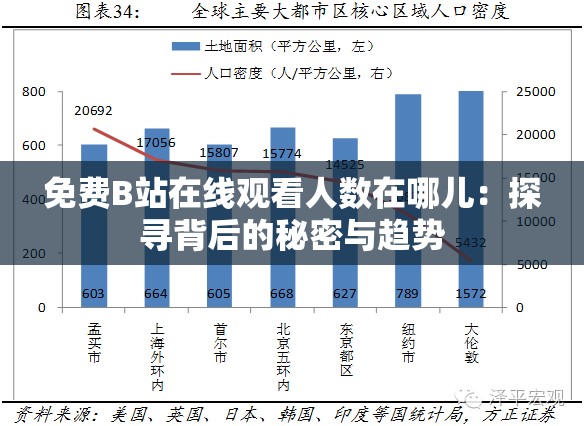 免费B站在线观看人数在哪儿：探寻背后的秘密与趋势