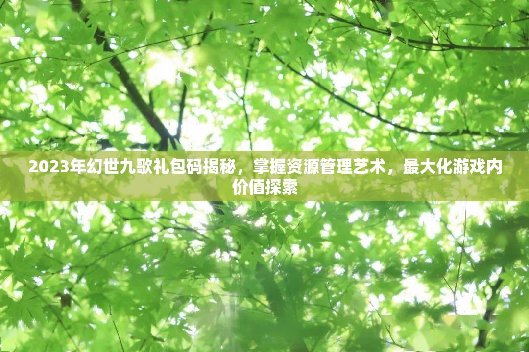 2023年幻世九歌礼包码揭秘，掌握资源管理艺术，最大化游戏内价值探索