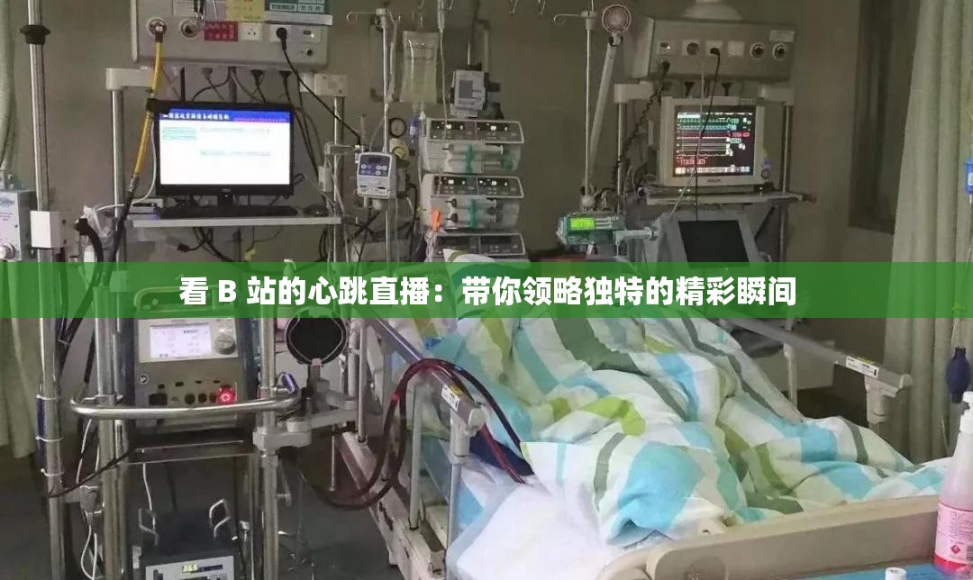 看 B 站的心跳直播：带你领略独特的精彩瞬间
