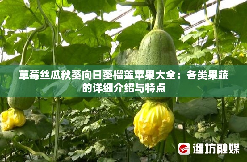 草莓丝瓜秋葵向日葵榴莲苹果大全：各类果蔬的详细介绍与特点