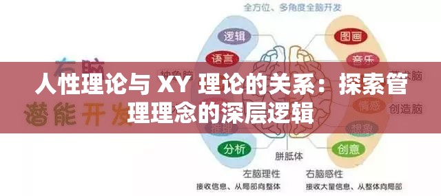 人性理论与 XY 理论的关系：探索管理理念的深层逻辑