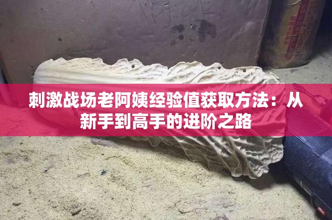 刺激战场老阿姨经验值获取方法：从新手到高手的进阶之路