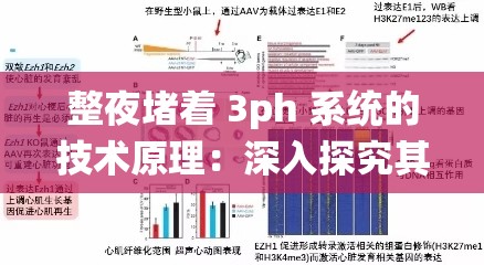 整夜堵着 3ph 系统的技术原理：深入探究其内在机制与应用前景