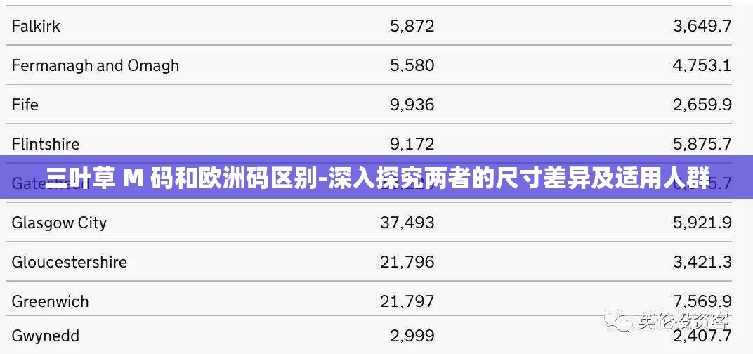 三叶草 M 码和欧洲码区别-深入探究两者的尺寸差异及适用人群