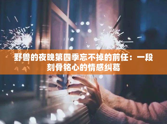 野兽的夜晚第四季忘不掉的前任：一段刻骨铭心的情感纠葛