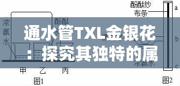 通水管TXL金银花：探究其独特的属性与用途