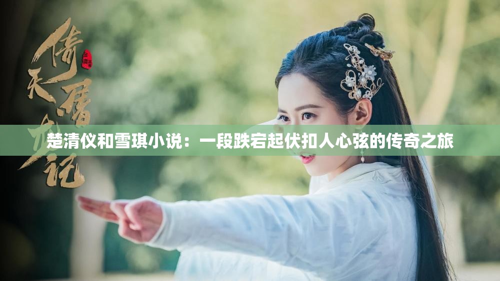 楚清仪和雪琪小说：一段跌宕起伏扣人心弦的传奇之旅
