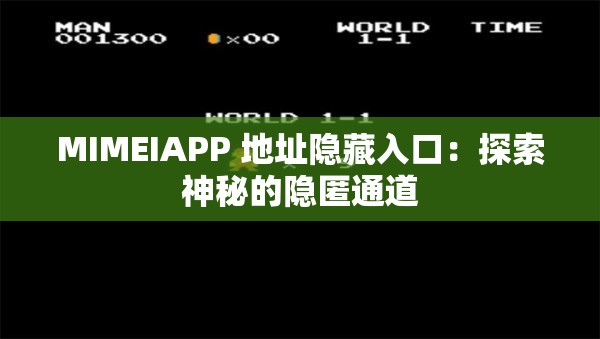 MIMEIAPP 地址隐藏入口：探索神秘的隐匿通道