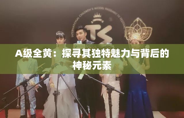 A级全黄：探寻其独特魅力与背后的神秘元素