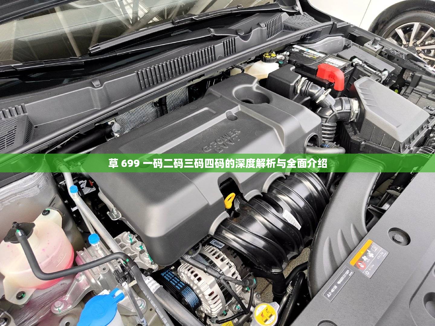 草 699 一码二码三码四码的深度解析与全面介绍