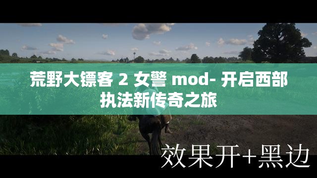 荒野大镖客 2 女警 mod- 开启西部执法新传奇之旅
