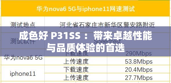 成色好 P31SS ：带来卓越性能与品质体验的首选