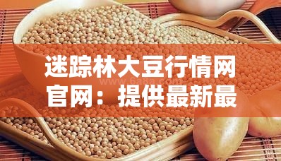 迷踪林大豆行情网官网：提供最新最全面大豆行情资讯