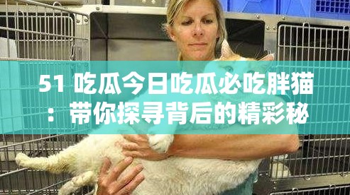 51 吃瓜今日吃瓜必吃胖猫：带你探寻背后的精彩秘密
