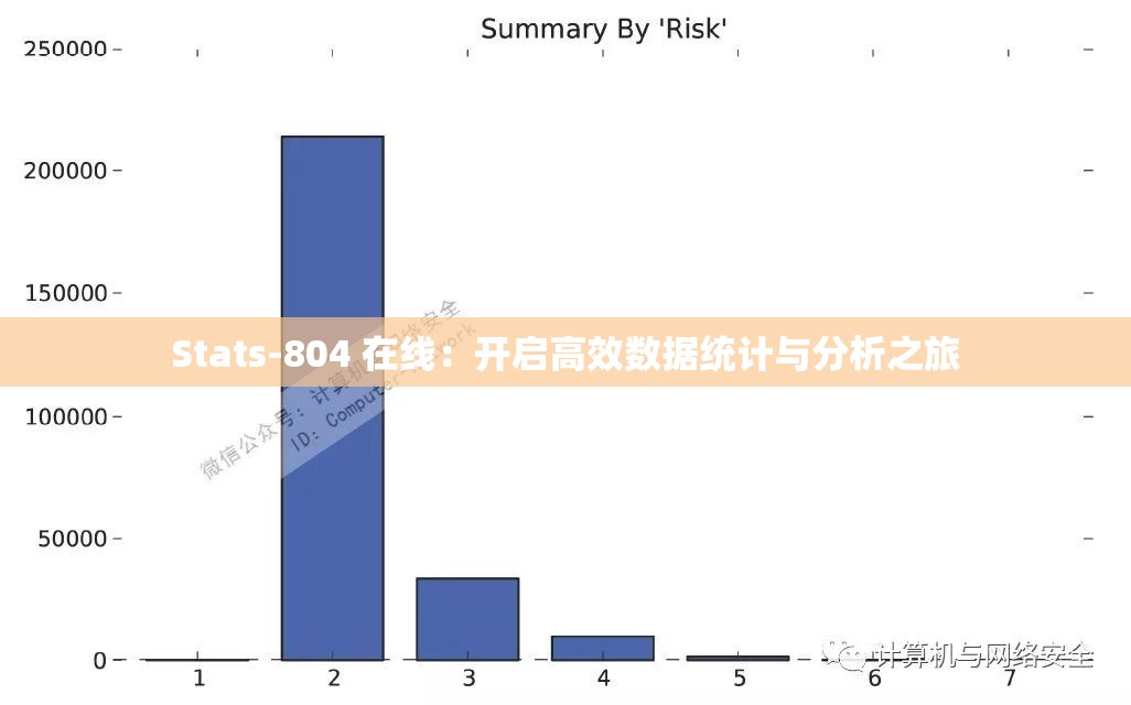Stats-804 在线：开启高效数据统计与分析之旅