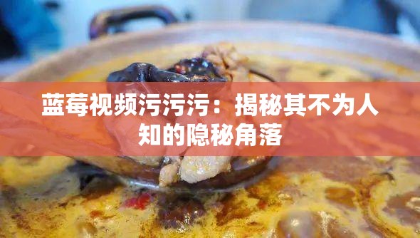 蓝莓视频污污污：揭秘其不为人知的隐秘角落