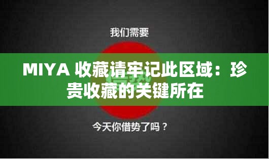 MIYA 收藏请牢记此区域：珍贵收藏的关键所在