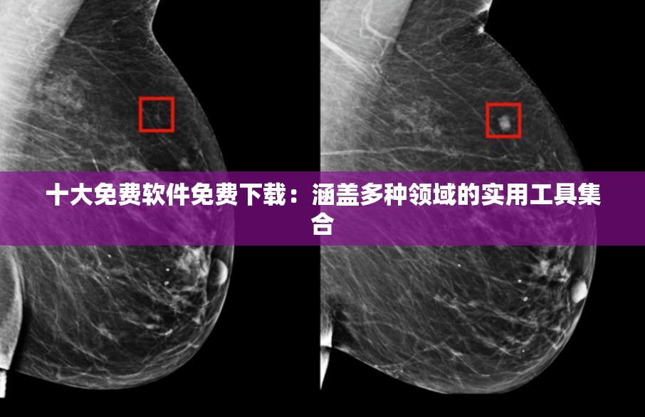 十大免费软件免费下载：涵盖多种领域的实用工具集合