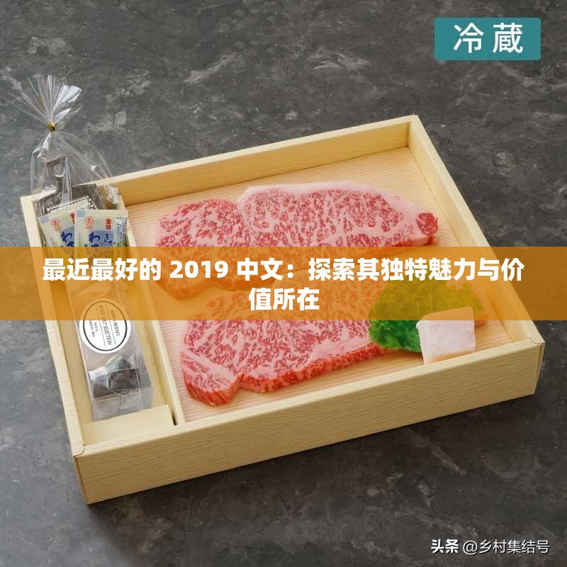 最近最好的 2019 中文：探索其独特魅力与价值所在