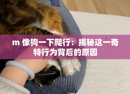 m 像狗一下爬行：揭秘这一奇特行为背后的原因