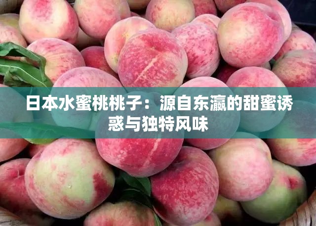 日本水蜜桃桃子：源自东瀛的甜蜜诱惑与独特风味
