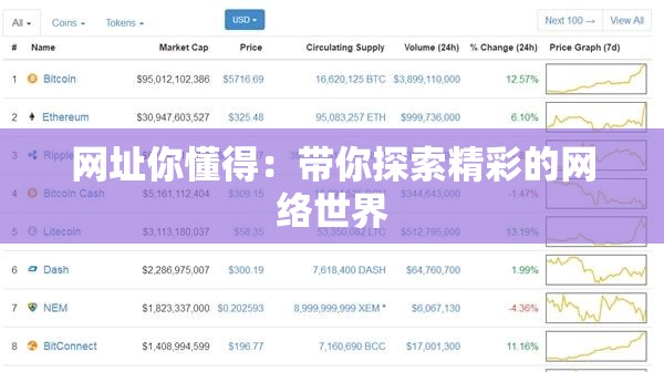 网址你懂得：带你探索精彩的网络世界
