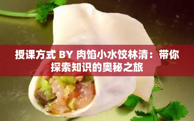 授课方式 BY 肉馅小水饺林清：带你探索知识的奥秘之旅