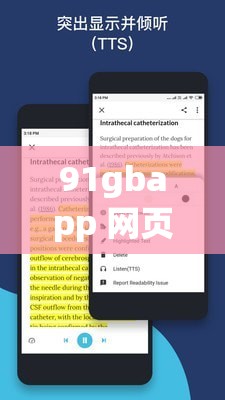91gbapp 网页版 ：提供便捷高效的服务体验
