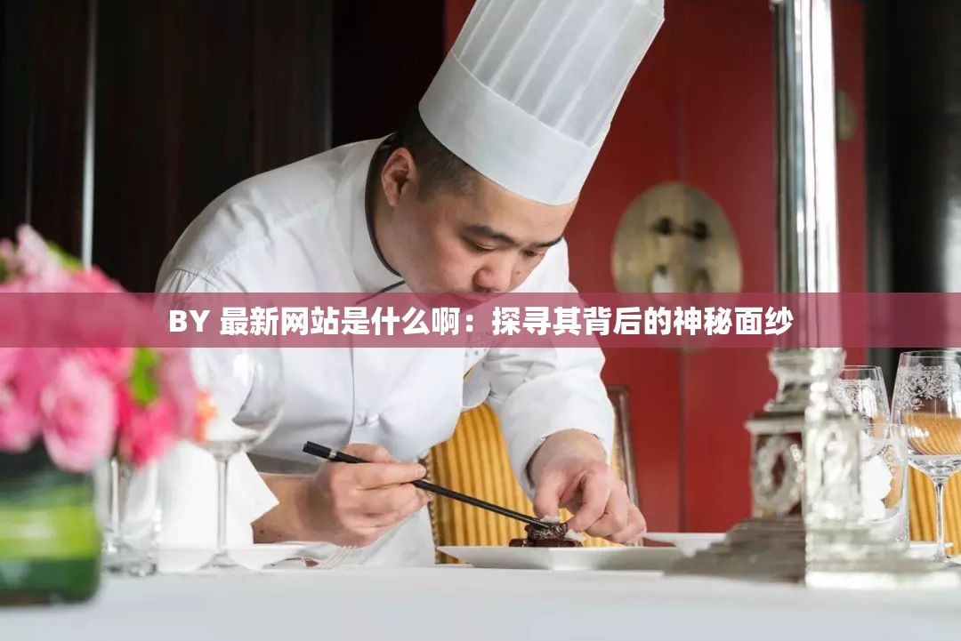 BY 最新网站是什么啊：探寻其背后的神秘面纱