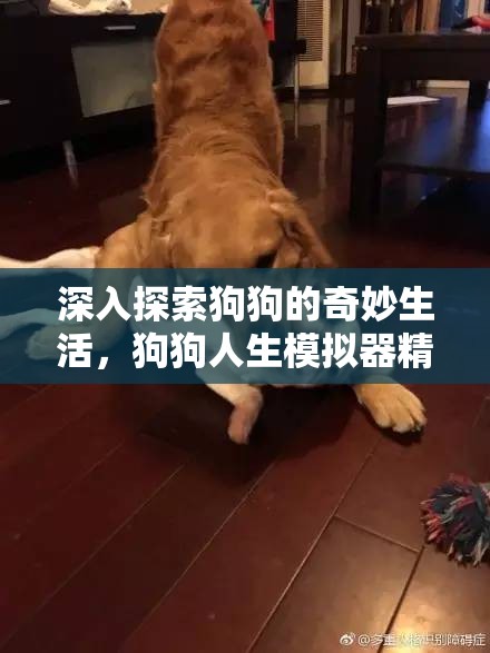 深入探索狗狗的奇妙生活，狗狗人生模拟器精彩截图全面大揭秘