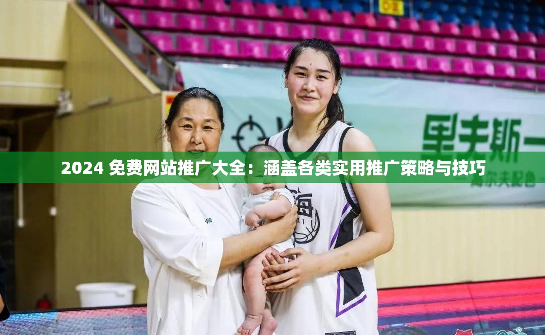 2024 免费网站推广大全：涵盖各类实用推广策略与技巧