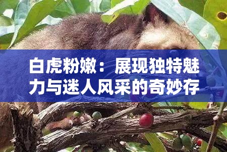 白虎粉嫩：展现独特魅力与迷人风采的奇妙存在