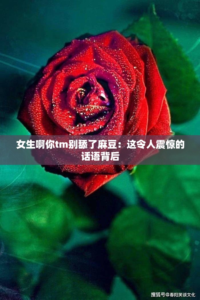 女生啊你tm别舔了麻豆：这令人震惊的话语背后