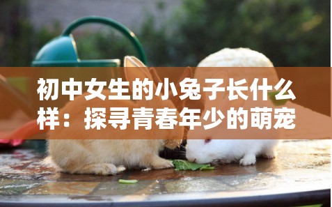 初中女生的小兔子长什么样：探寻青春年少的萌宠模样