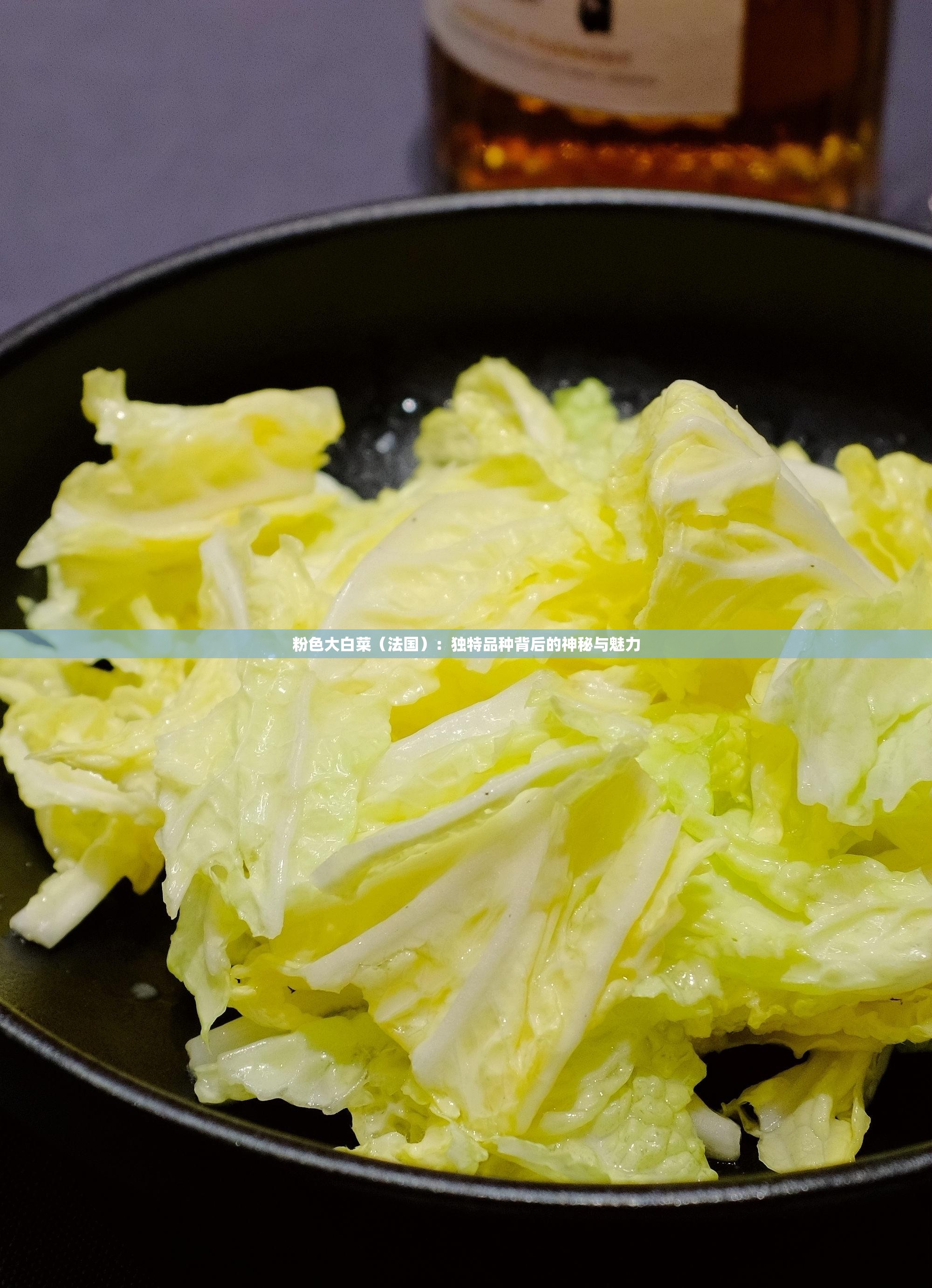 粉色大白菜（法国）：独特品种背后的神秘与魅力