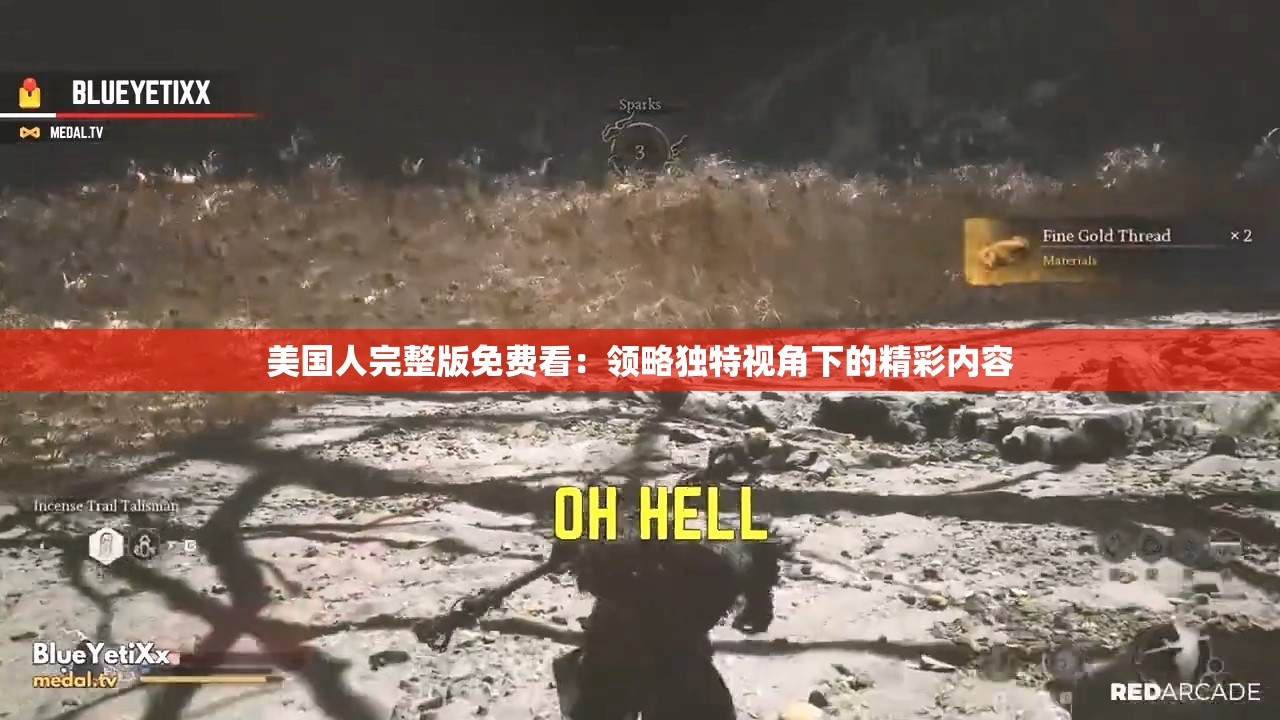 美国人完整版免费看：领略独特视角下的精彩内容