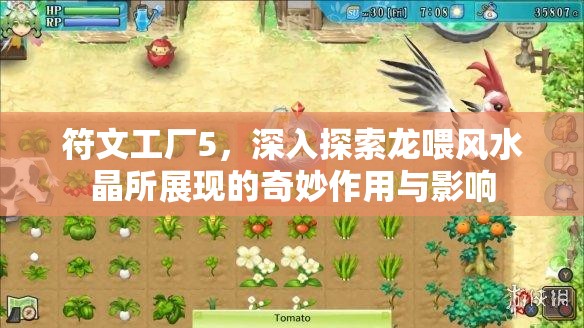 符文工厂5，深入探索龙喂风水晶所展现的奇妙作用与影响