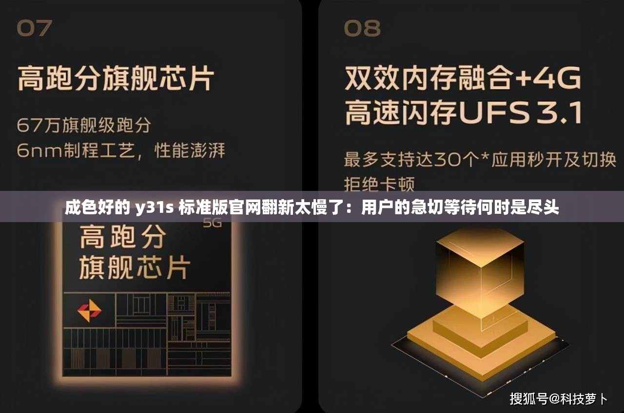 成色好的 y31s 标准版官网翻新太慢了：用户的急切等待何时是尽头