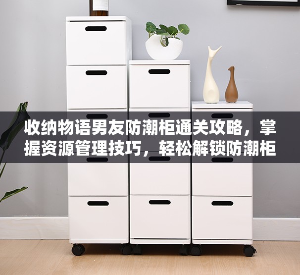 收纳物语男友防潮柜通关攻略，掌握资源管理技巧，轻松解锁防潮柜关卡