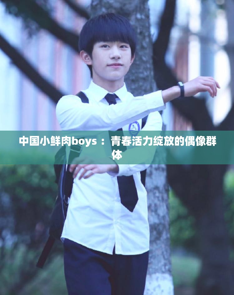 中国小鲜肉boys ：青春活力绽放的偶像群体