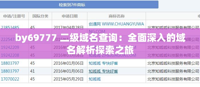 by69777 二级域名查询：全面深入的域名解析探索之旅
